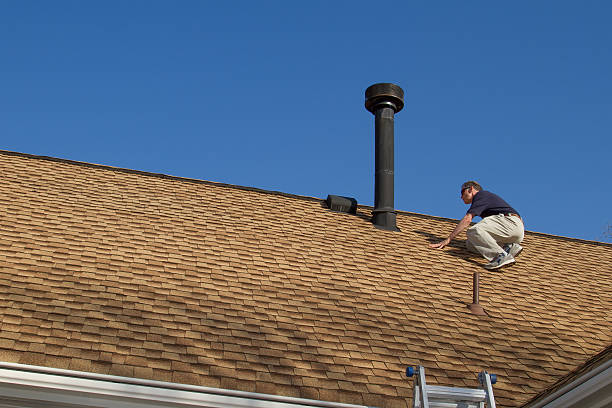 Best Roof Moss and Algae Removal  in Glen Ellyn, IL